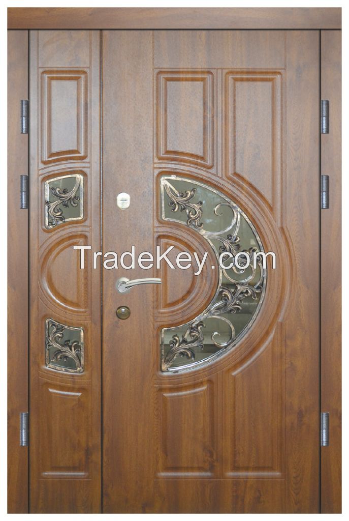 Entarnce Metal Door