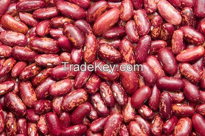 Dark Red Kidney Beans, Red kidney Beans, white kidney Beans, black kidney, light speckled kidney beans