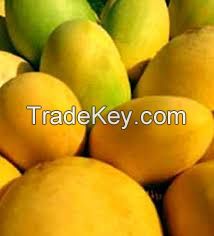 Fresh fruit,Fresh Mango,Fresh Golden Yellow Mango