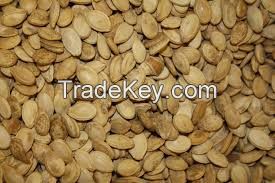 Melon Seeds