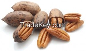 Pecan Nuts