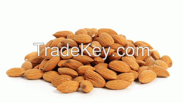 Almonds Nuts