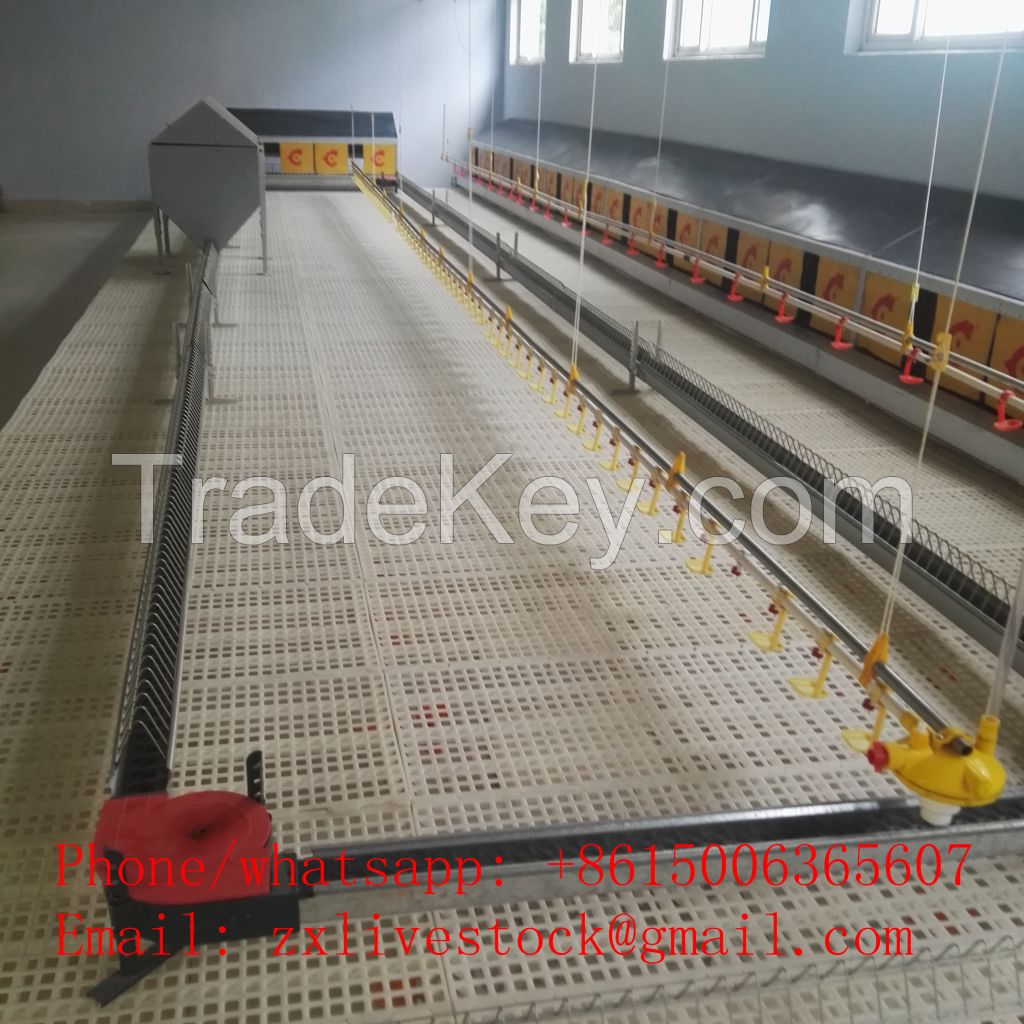 Automatic chain feeding system for chicken farming