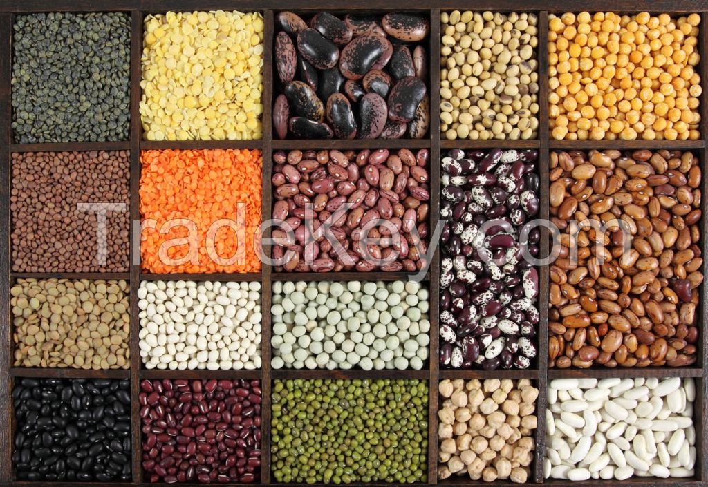 Cereals and Pulses