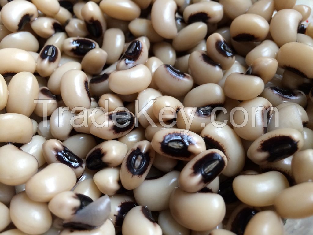 Black Eyed Pea