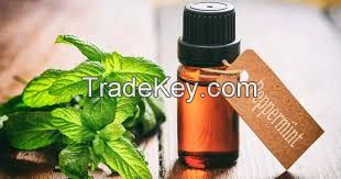 Peppermint Oil