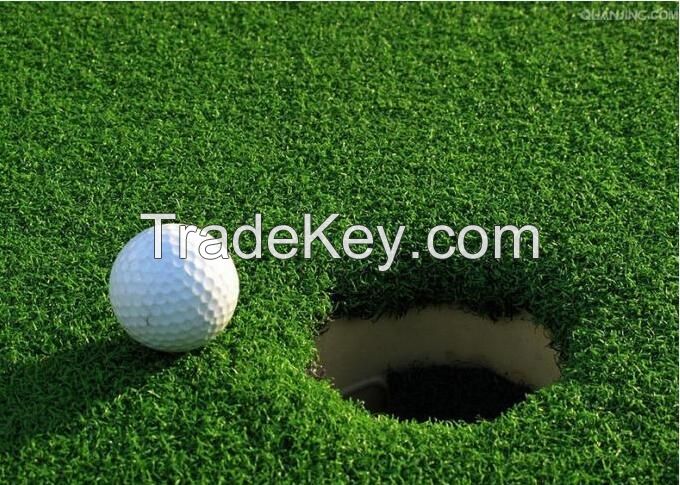 PP1531 Artificial Grass in Golf Putting Green supplier
