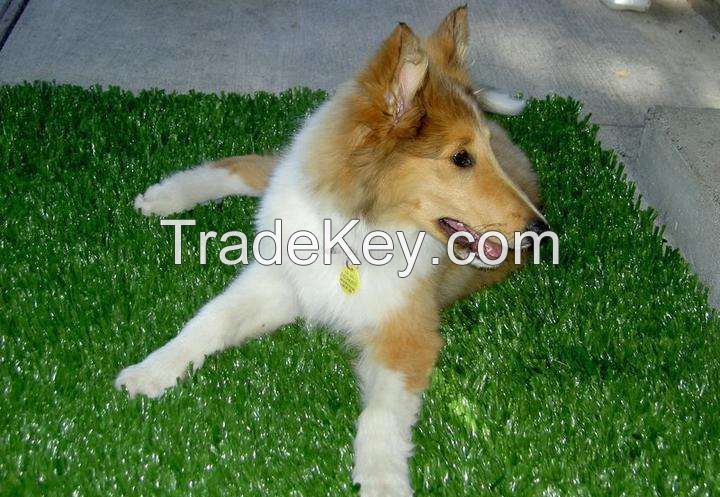 306814-S Artificial Grass Mat for PET supplier