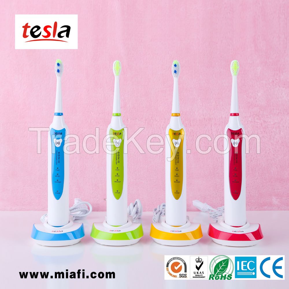 MAF8101 Economic Price Adult SonicToothbrush Dental Toothbrush Oral Fresh Product