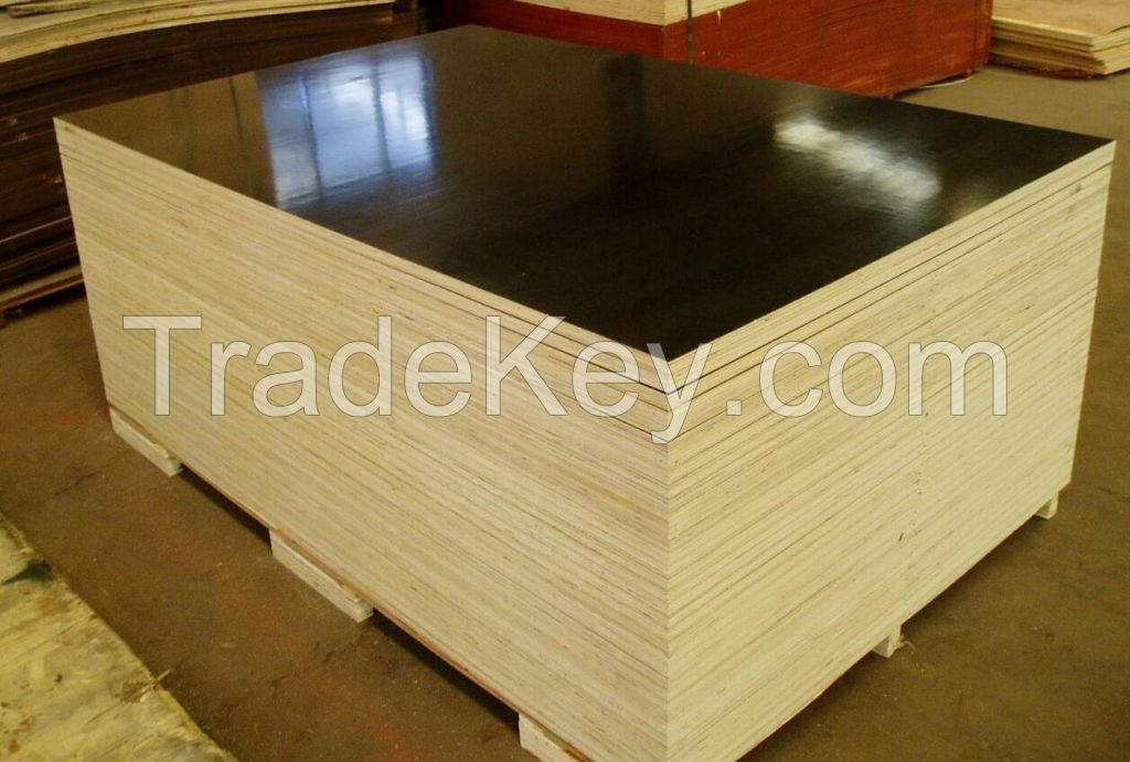 FSC certificated film faced plywood 12mm15mm18mm manfacturer