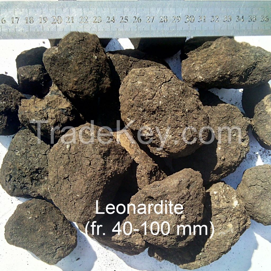 leonardite humic acid