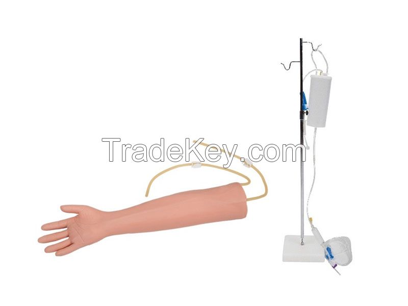 Advanced Elder Venipuncture Training Arm