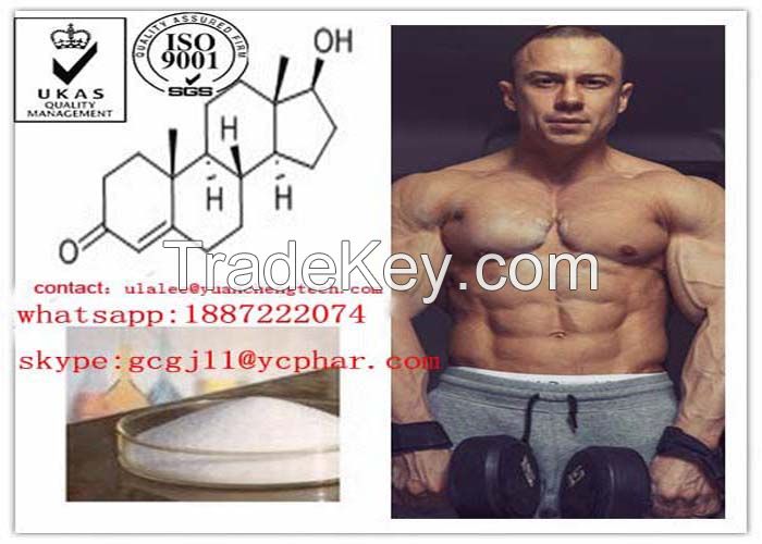 Anabolic Steroid Powder Testosterone Acetate