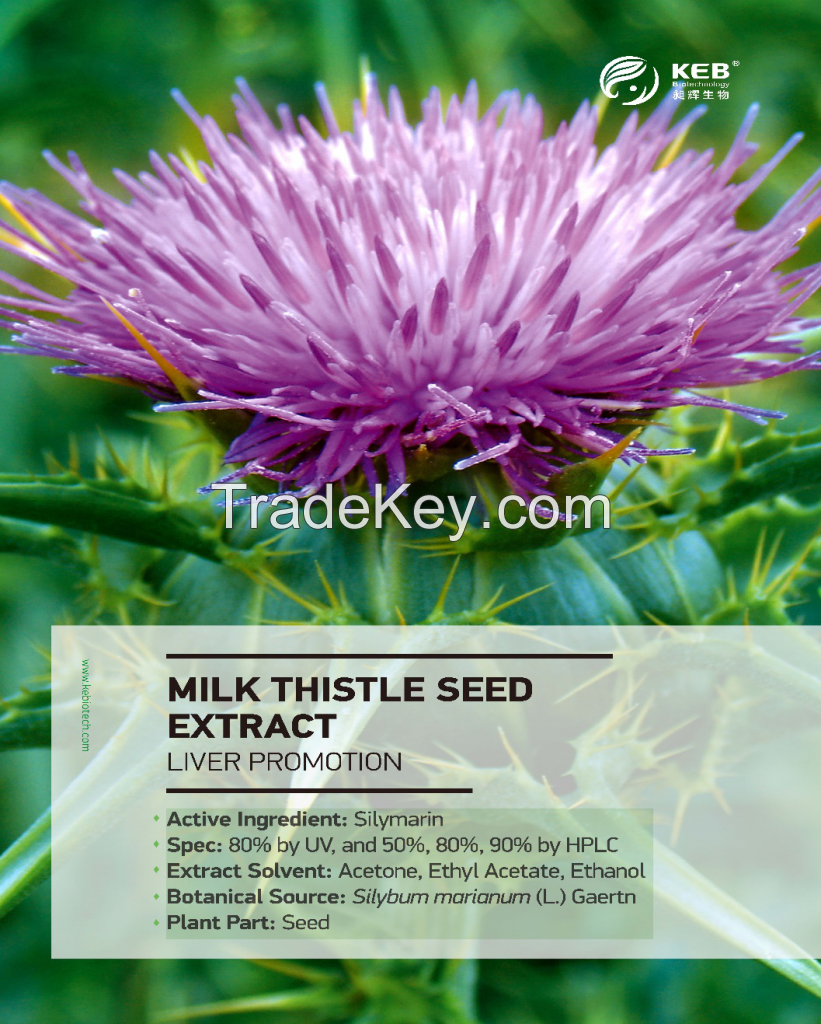 Milk Thistle seed extract Silymarin