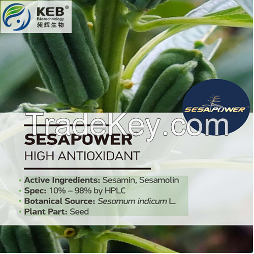 Sesame Seed Extract Sesamin 98%