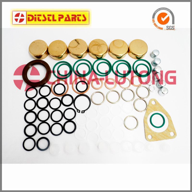 common rail injector rebuild kits  2 417 010 021 repair kits