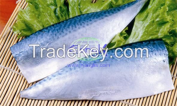 frozen mackerel fillet