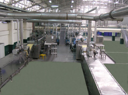 C/W600-G High speed instant noodle production line