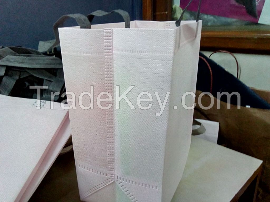 Non Woven Laminated Carry Bags