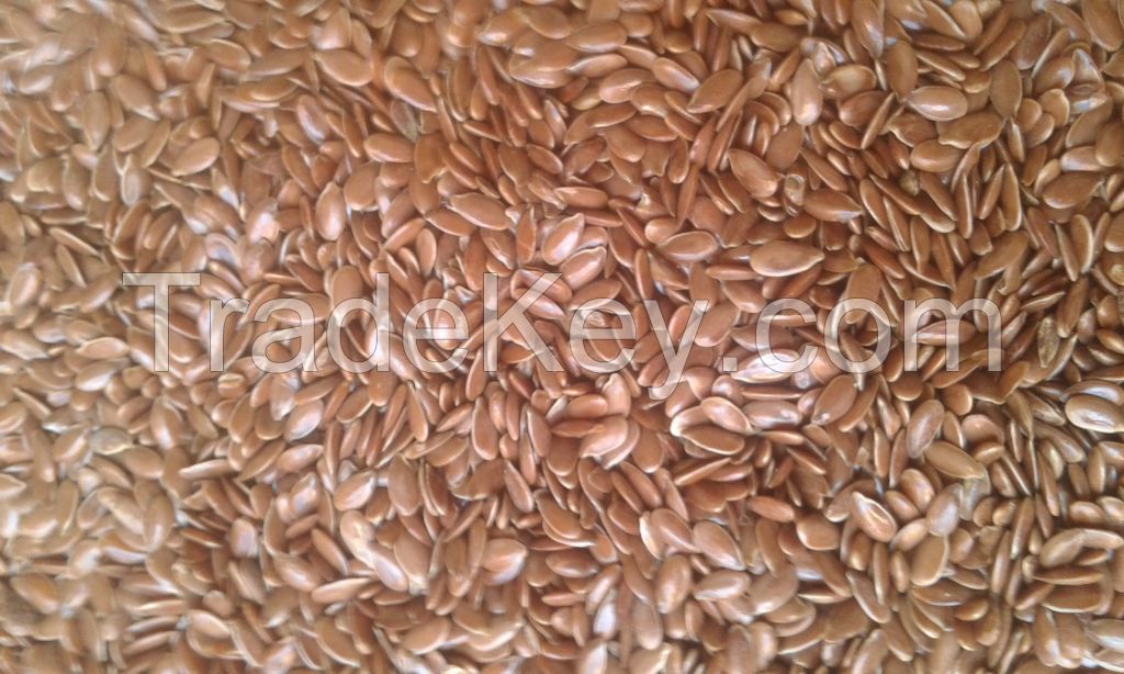 flax seeds  