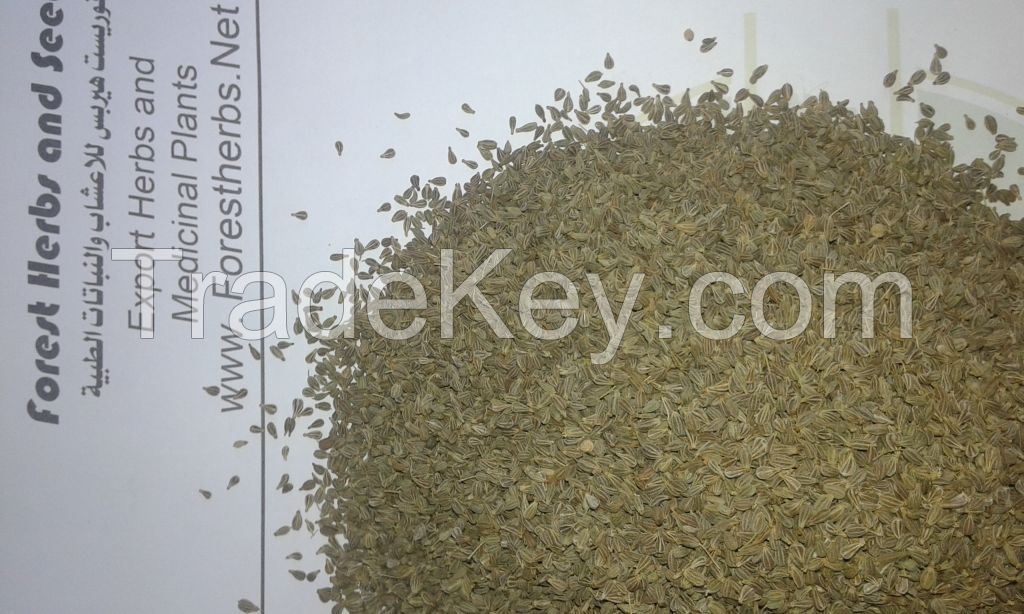 anise seeds