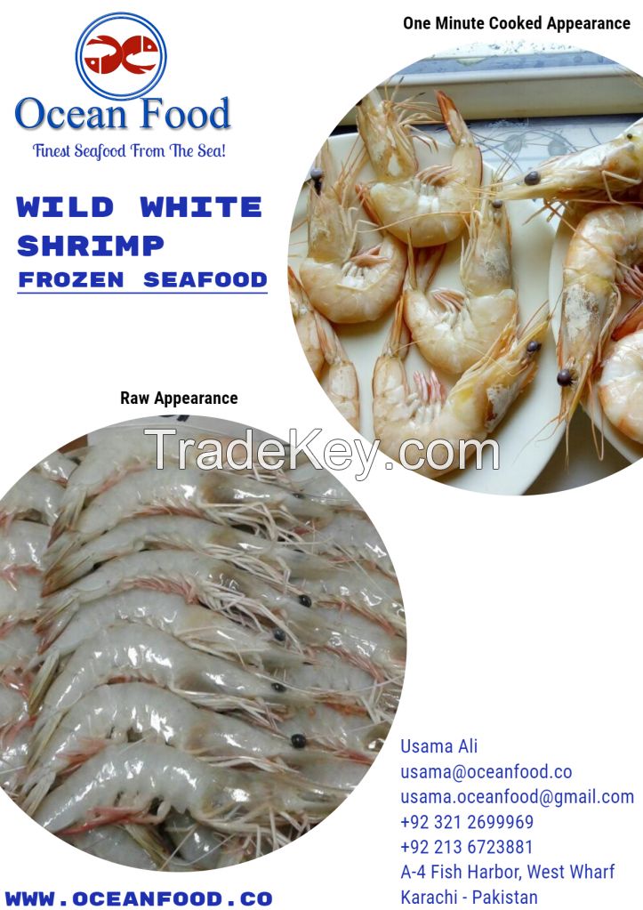 Wild White Shrimp
