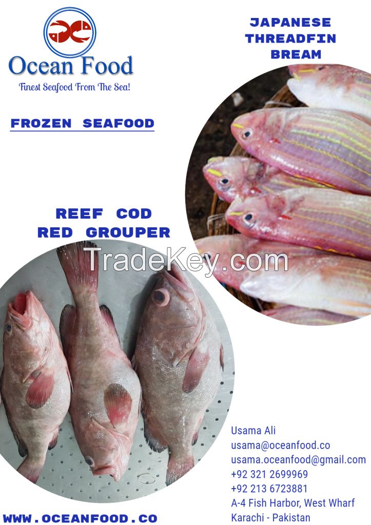 japanese threadfin bream (JTB) &amp; Reef Cod (Red Grouper)