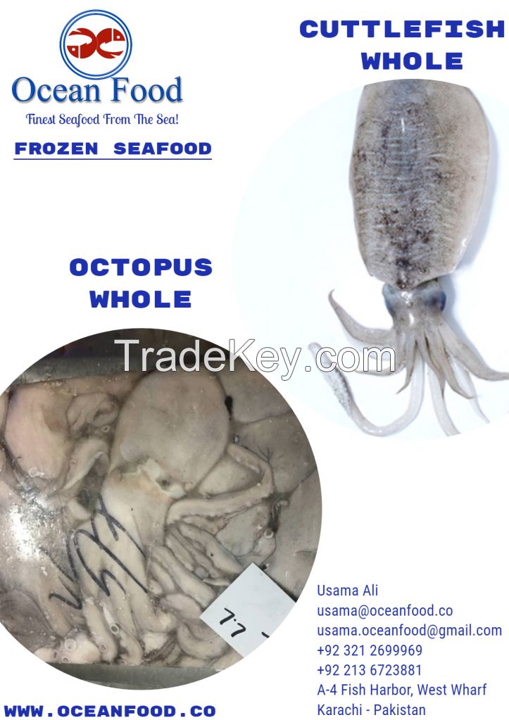 Cuttlefish and Octopus