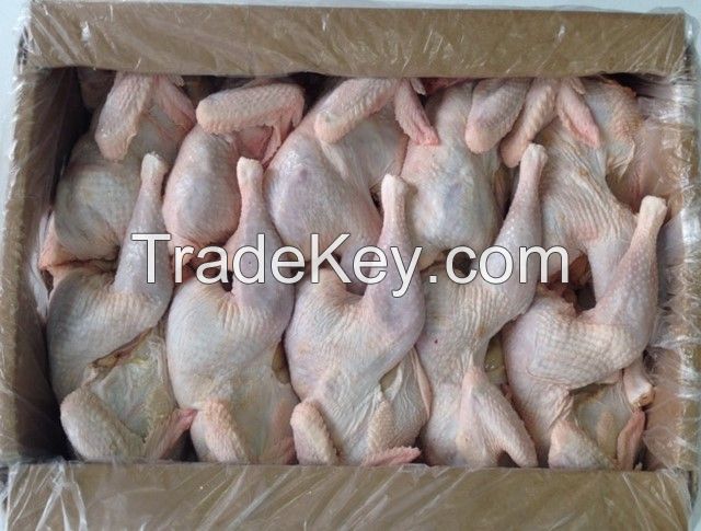 Grade A Halal frozen Whole Chicken/Hen