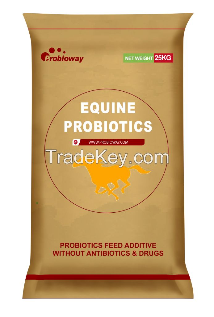 Equine Probio(PBW-EH)