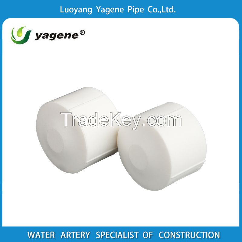 Environmental PPR plastic pipe end screw cap pipe fitting