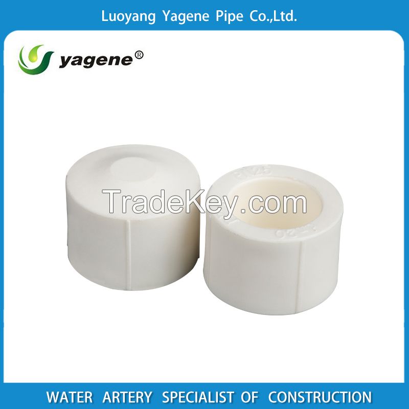 Environmental PPR plastic pipe end screw cap pipe fitting