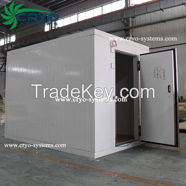 vegetable cold storage , walk in freezer with monoblock unit , mini cold store