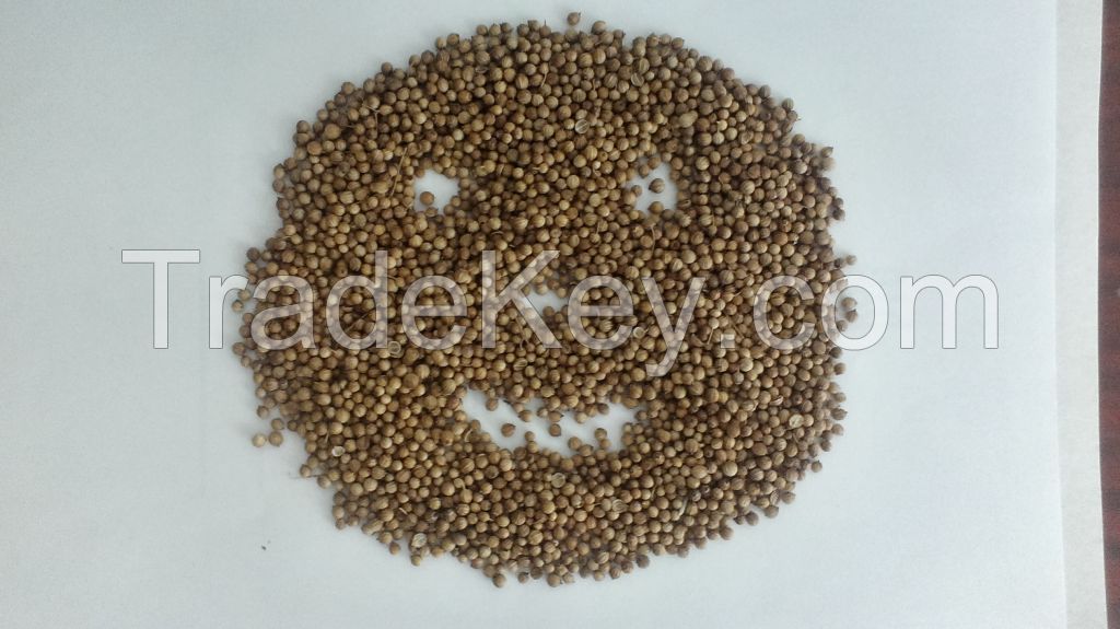 Corriander seed
