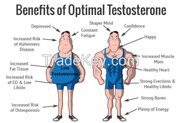 Weight Loss Steroid Drostanolone Propionate CAS 521-12-0 For Bodybuilding  steroidmisty@ycphar.com