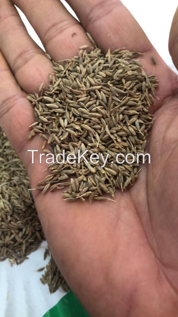 Cumin seeds