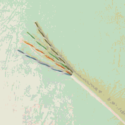 Cat 5 UTP solid cable