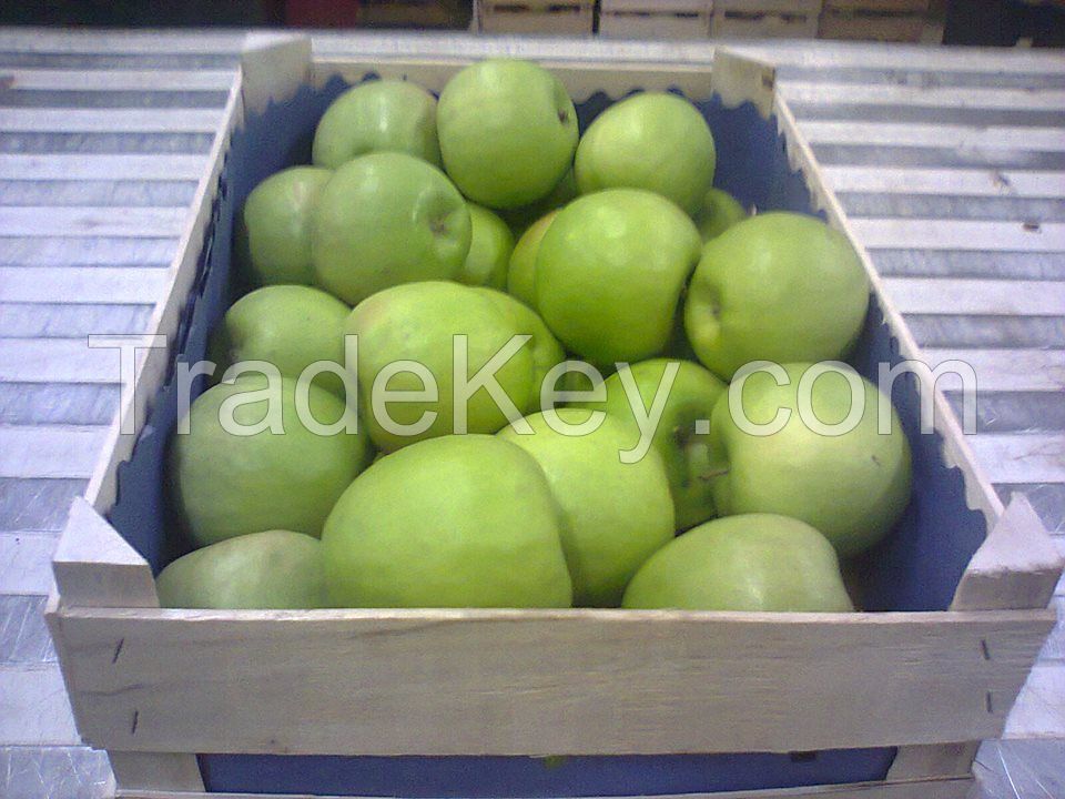 Fresh Royal Gala Apples, Fuji Apples, Golden Delicious Apples, Red Delicious Apples For sale