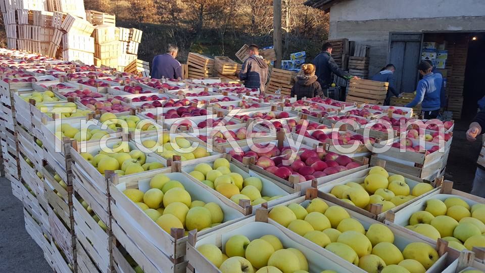 Quality Fresh Fuji Apples for Sale Grade A