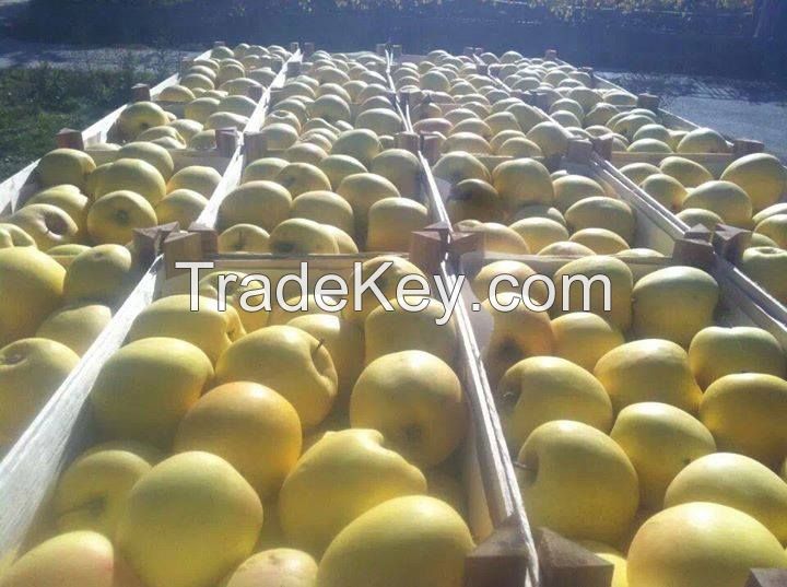 Quality Fresh Apples for Sale Grade A