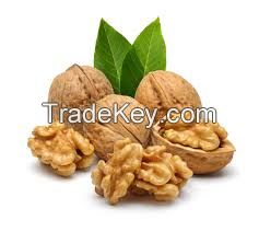 WALNUTS IN SHELL / KERNELS