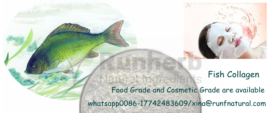 Fish Collagen