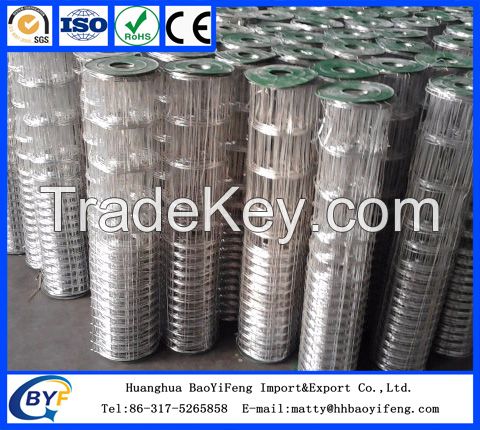 Galvanized Wire Mesh