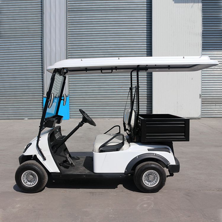 Electric vehicle 2 seater golf carts with cargo box By Tianjin Zhongyi