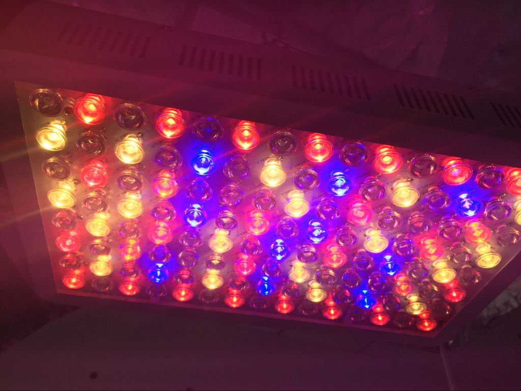 full spectrum 600w HPS replacement led grow light 260W for greenhpuse medical plant