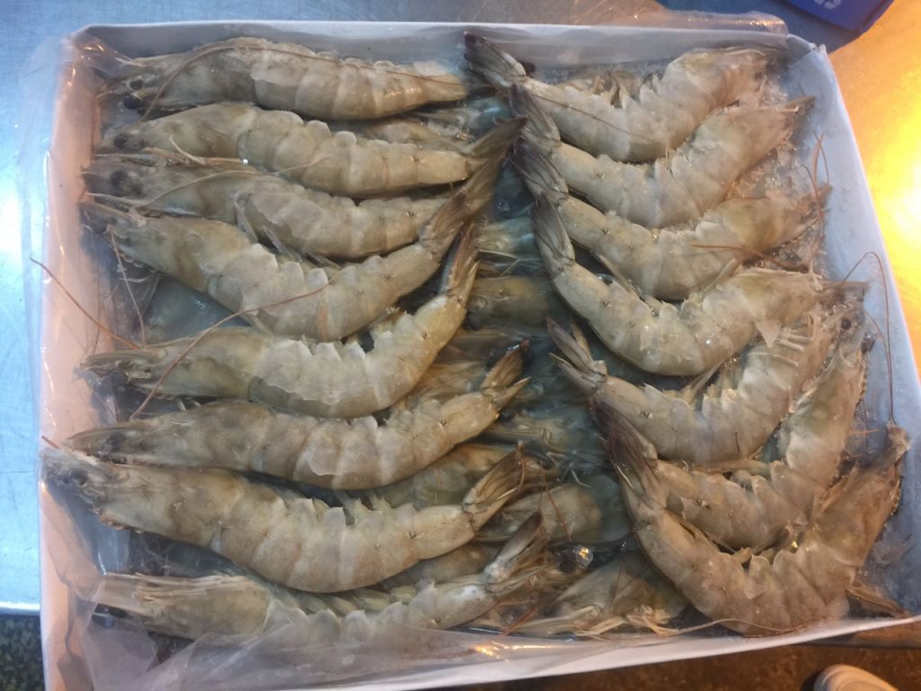 Frozen HOSO Vannamei Shrimp