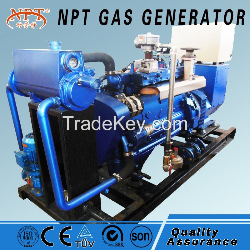 NPT biogas generator 60KW 