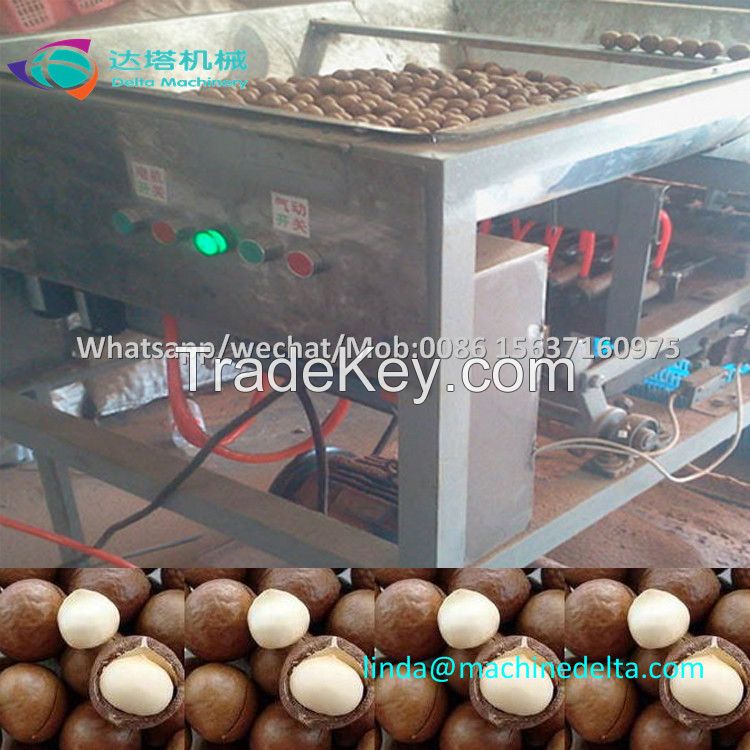 automatic macadamia nut tapping machine/macadamia nut opening machine/macadamia nut cracker machine