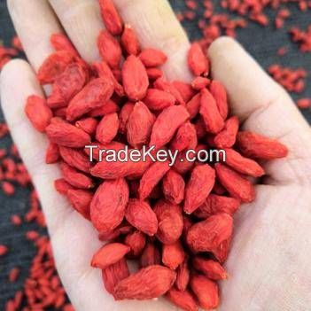 Free Pesticides Goji Berry, organic goji, organic goji berry, bio goji berry, NOP/EU GOJI BERRY