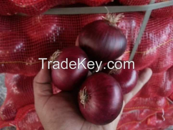 fresh red onion